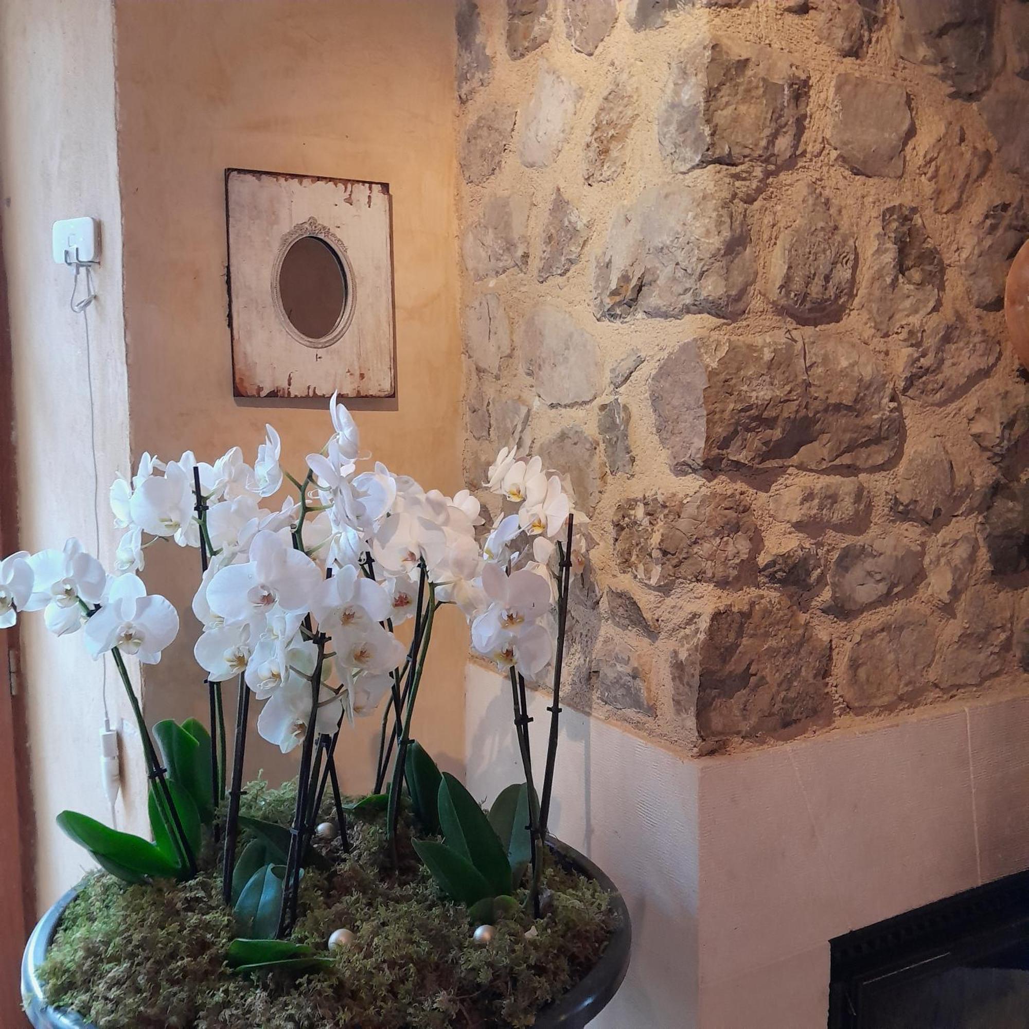 Chambre D'Hotes La Romarine Barnave 외부 사진